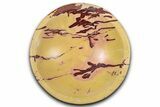 Polished Saharan Desert Jasper Dish - Morocco #349412-1